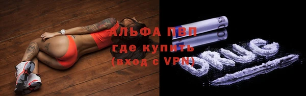 СК Протвино