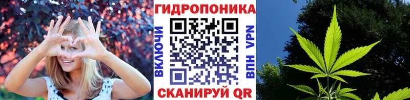 Шишки марихуана план Щучье